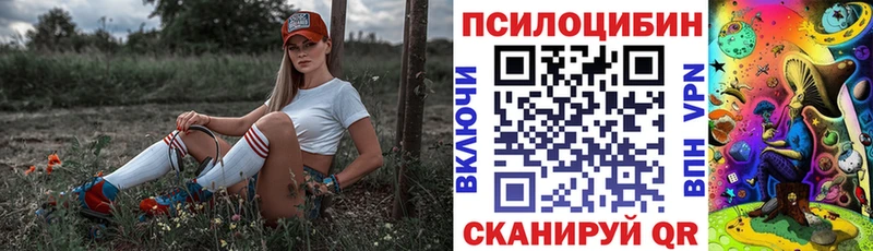 Псилоцибиновые грибы GOLDEN TEACHER  Купить  Ужур 